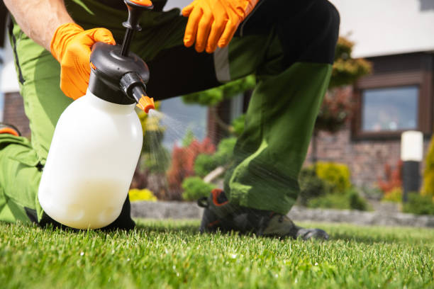 Best Residential Pest Control  in Tinley Park, IL